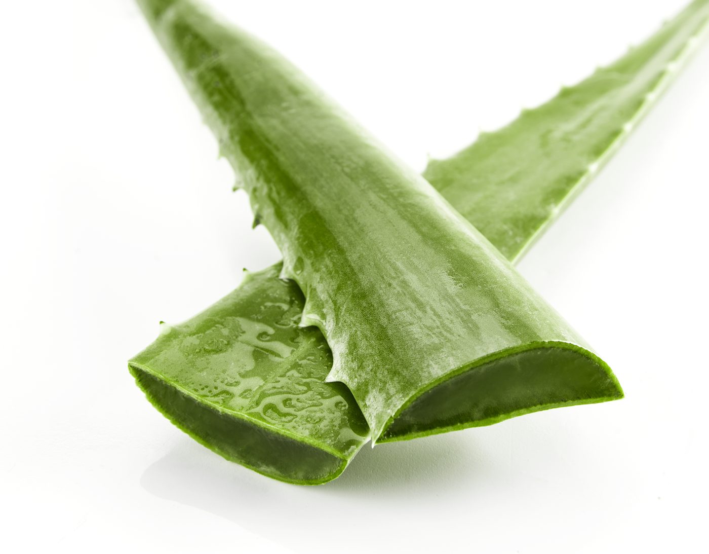 Cut aloe vera leaf: the gel at the heart of the leaf